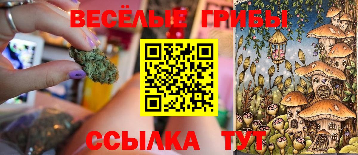где можно купить   Псилоцибиновые грибы MAGIC MUSHROOMS  Вход с VPN  Галлюциногенные грибы GOLDEN TEACHER  Михайловск 